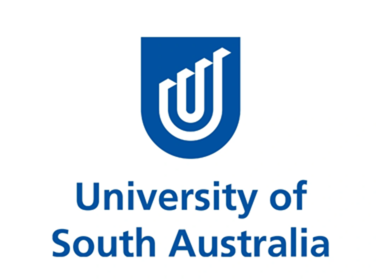 南澳大学